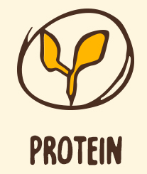 Protein